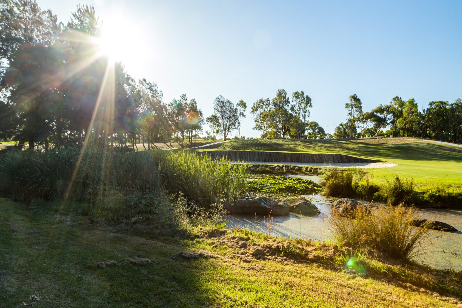 PLAY GOLF Freeway Golf Course